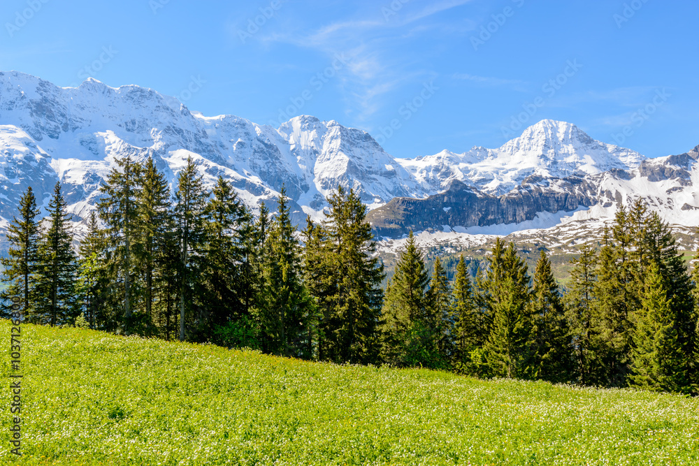 Fototapeta premium Beautiful landscape of valley in Alpine mountains, small trail, hike root, majestic picturesque view in sunny day