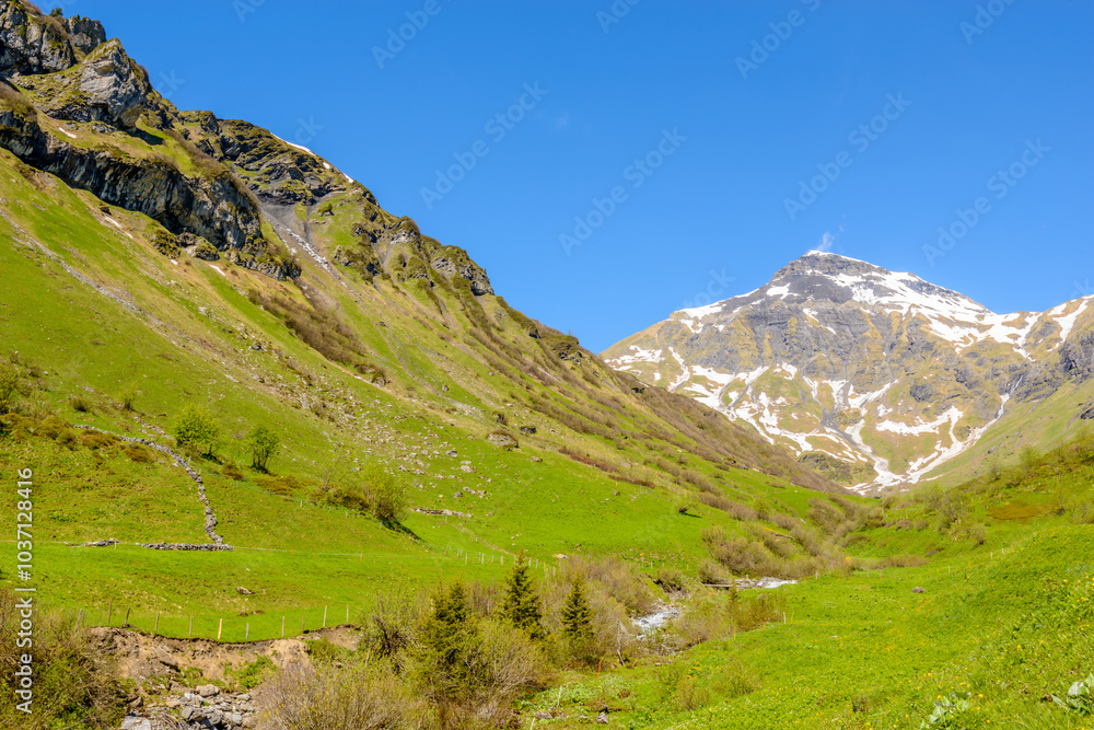 Fototapeta premium Beautiful landscape of valley in Alpine mountains, small trail, hike root, majestic picturesque view in sunny day