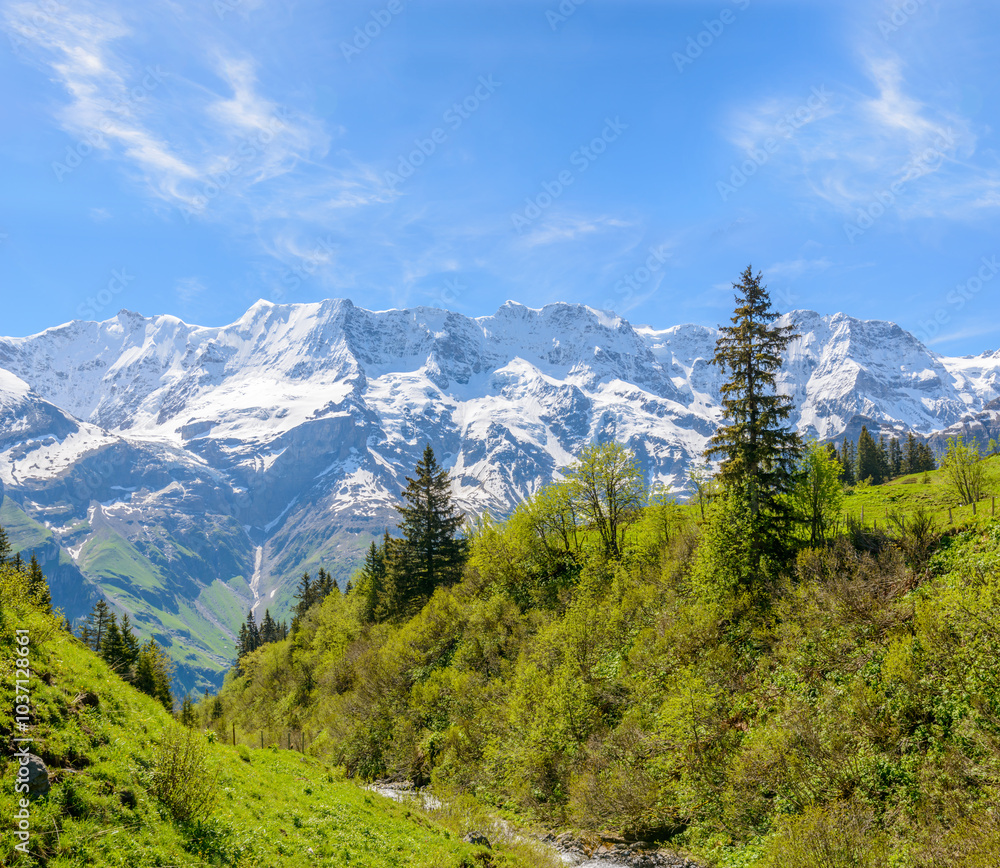 Fototapeta premium Beautiful landscape of valley in Alpine mountains, small trail, hike root, majestic picturesque view in sunny day
