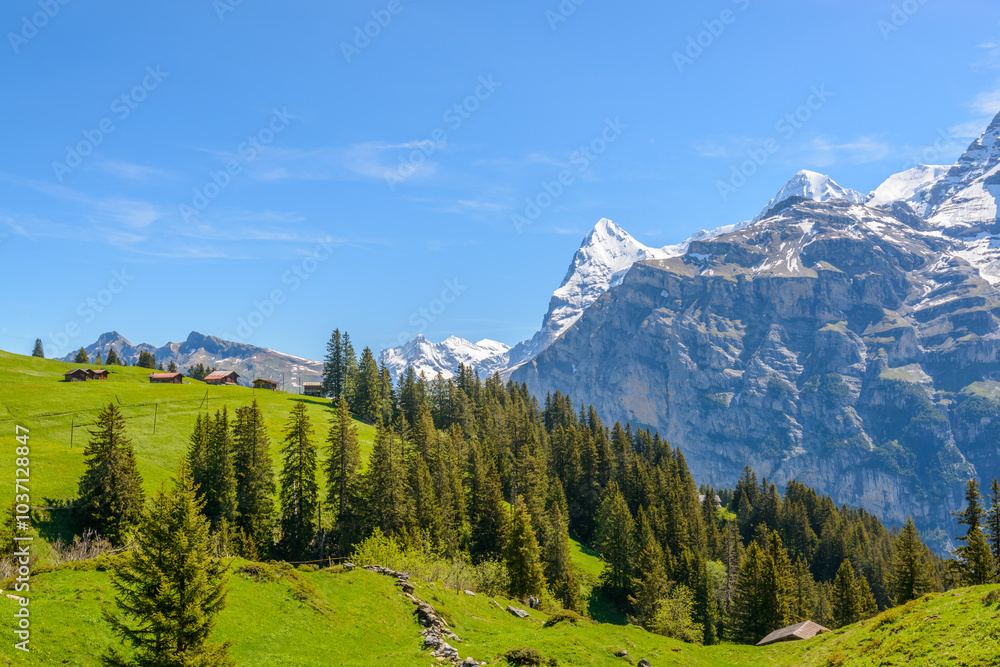 Fototapeta premium Beautiful landscape of valley in Alpine mountains, small trail, hike root, majestic picturesque view in sunny day