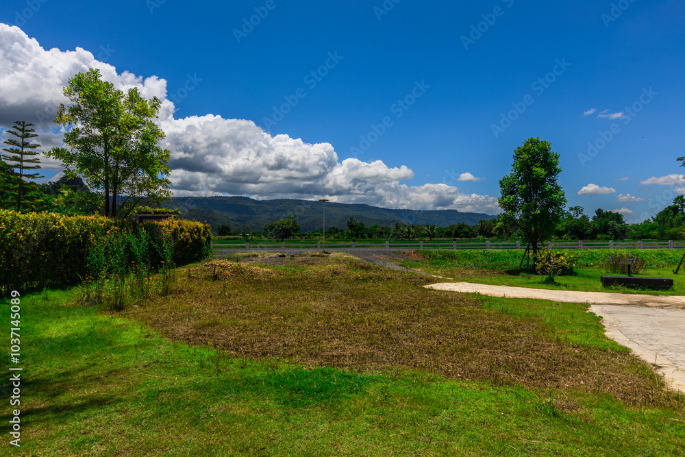 Nature Wallpaper (Mountains, Green Fields, Roadside Accommodation, Twilight Sky) The beauty of nature while traveling, with the wind blowing through the blurred leaves.