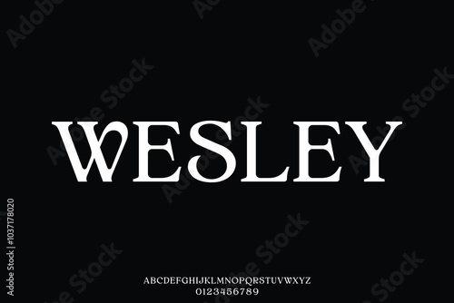 Elegant luxury decorative serif alphabet display font vector illustration