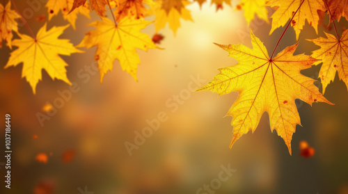 Bright Autumn Maple Leaves on Golden Background - Perfect for Seasonal Fall Imagery