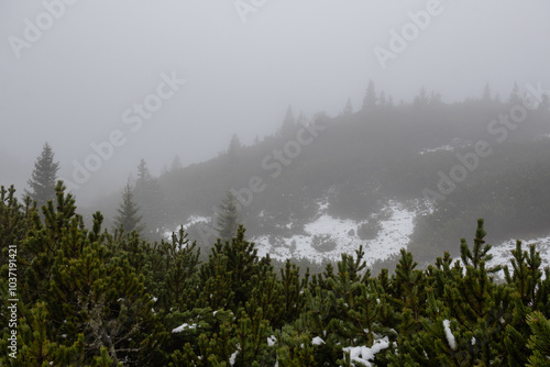 A photo of a mountain covered in snow photo