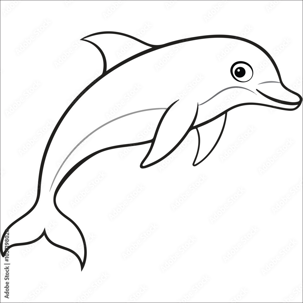 dolphin isolated on white dolphin isolated on white