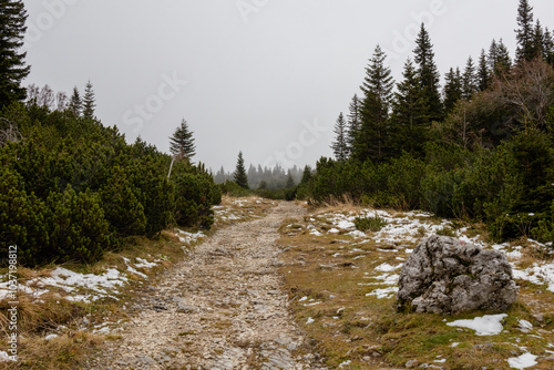 A photo of a rocky trail