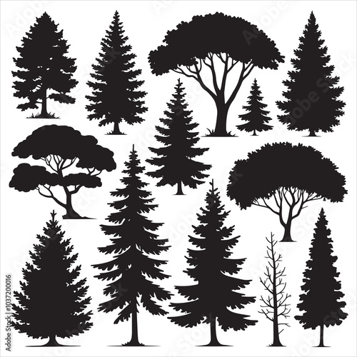 Silhouettes of Various Trees for Design. Vector Illustration.