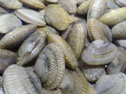 Flower armor sold in supermarkets