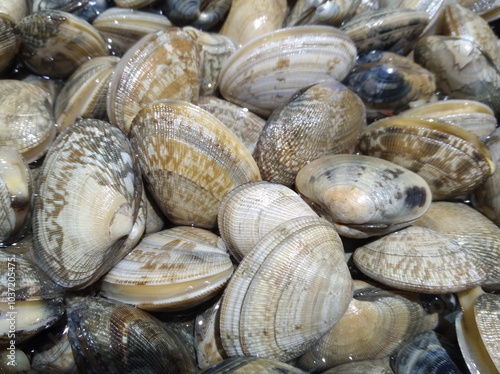 Flower armor sold in supermarkets