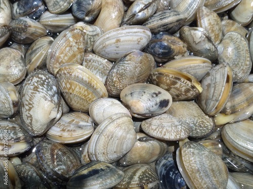 Flower armor sold in supermarkets