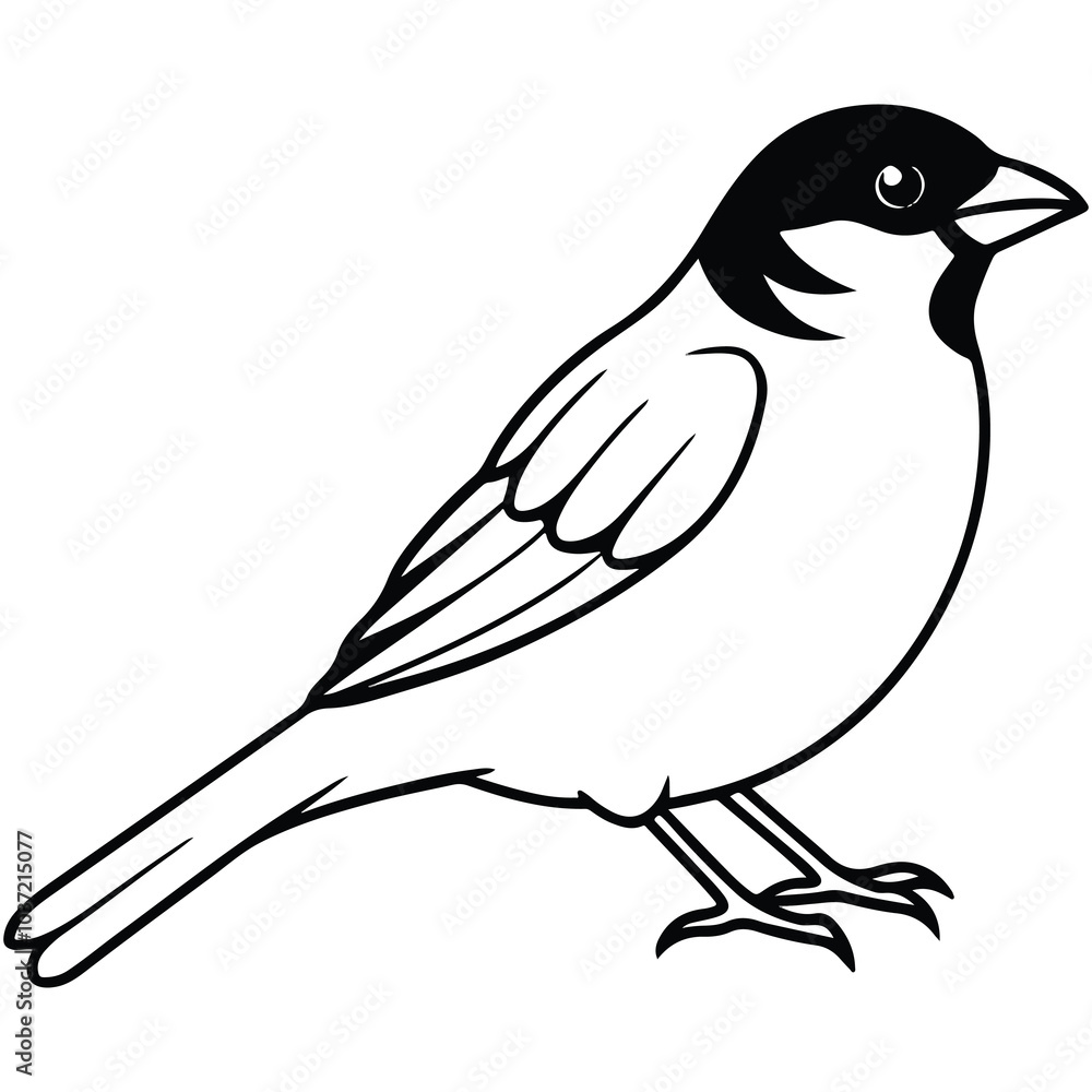 Fototapeta premium bird on a branch