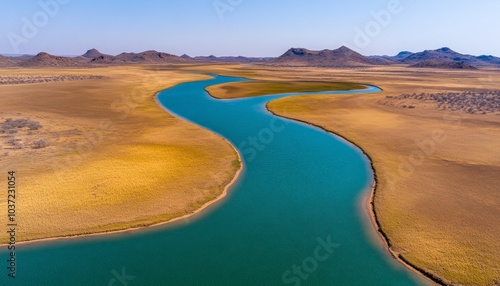 Aerial view of a winding river through a golden grassland landscape.