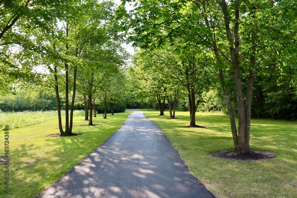 The empty pathway in the park on a sunny day. The empty pathway in the park on a sunny day.