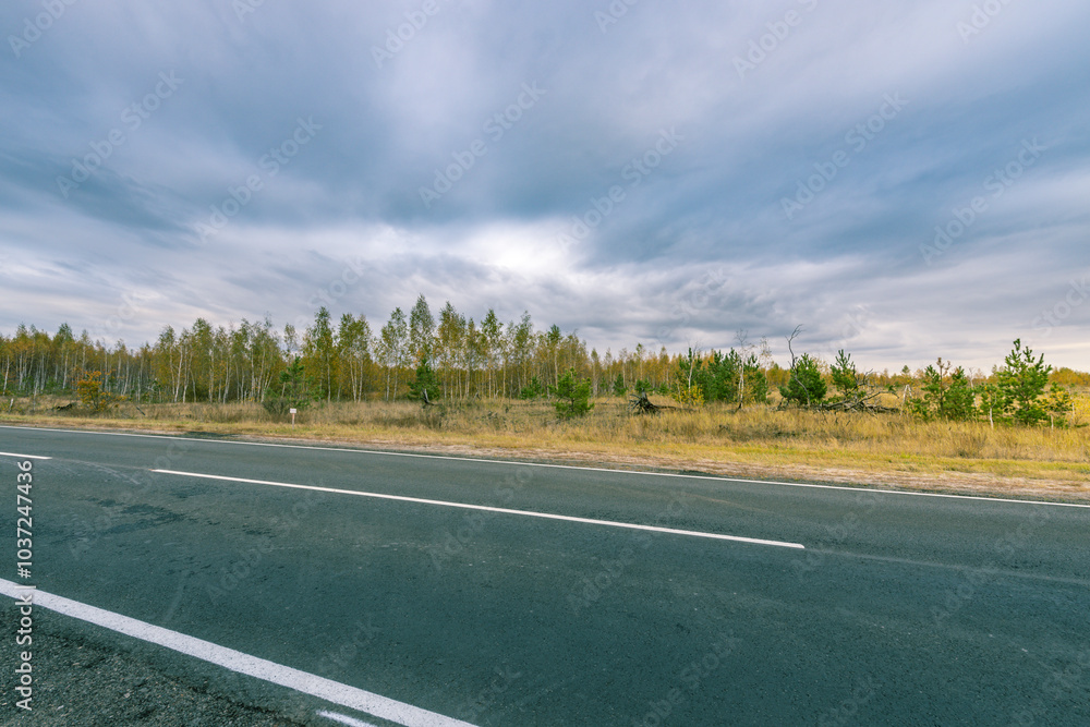 Fototapeta premium A road with a few trees in the background
