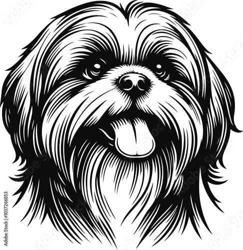 shih tzu puppy