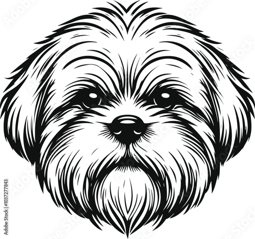 dog with heart
