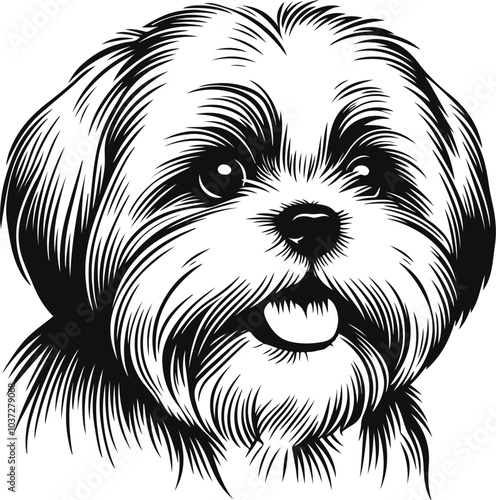 Line Art Cute Shih Tzu Dog line drawing vector illustration