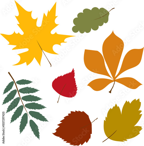 Set of autumn leaves from different trees, oak, maple, chestnut. Simple, yellow, red, orange fall leaf set for pattern, banner, sticker, Hello autumn card. Flat vector illustration on white background