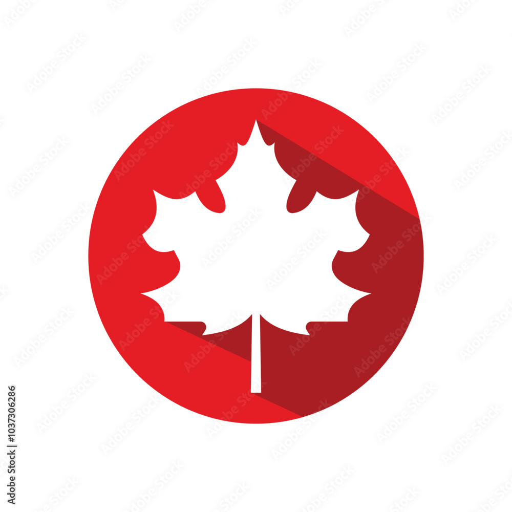 Maple leaf flat vector icon and symbol design Maple leaf flat vector icon and symbol design