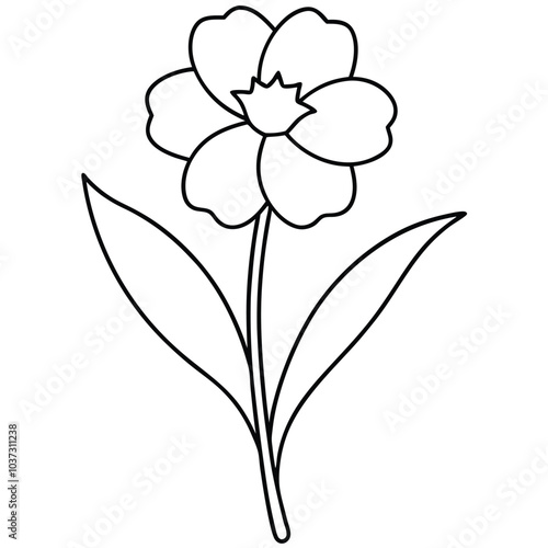 hand-drawn-primrose-flower-vector