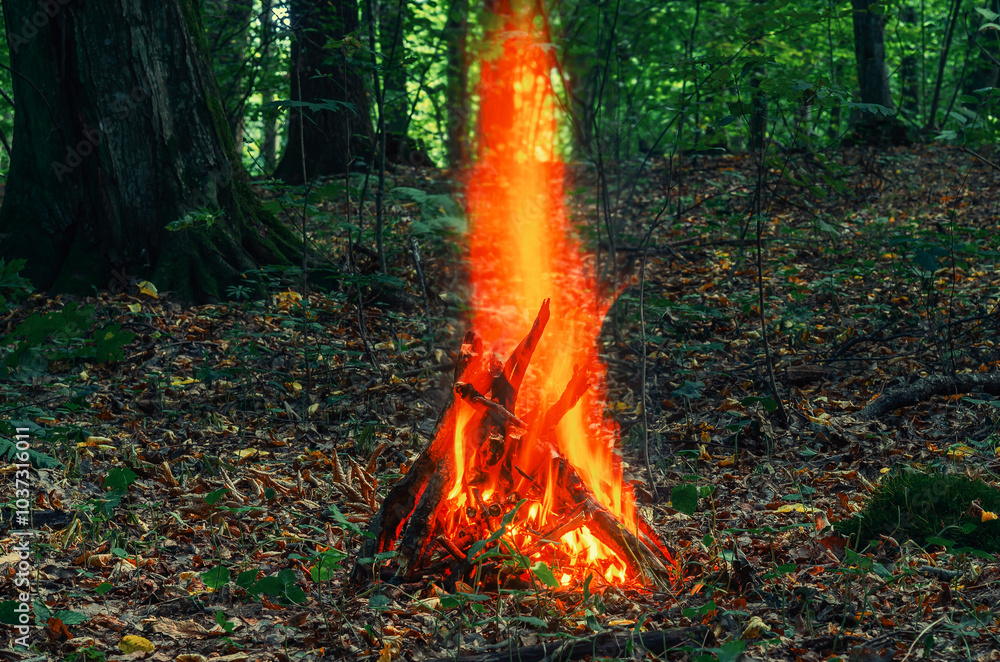Bonfire, burning wood on summer evening. Active lifestyle, travel, hiking and camping concept. Bonfire, burning wood on summer evening. Active lifestyle, travel, hiking and camping concept.