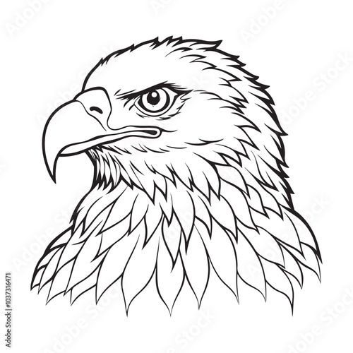 Silhouette vector style Bald Eagle with white background 