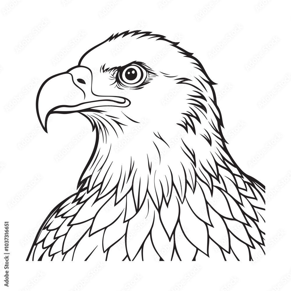 Fototapeta premium Silhouette vector style Bald Eagle with white background 