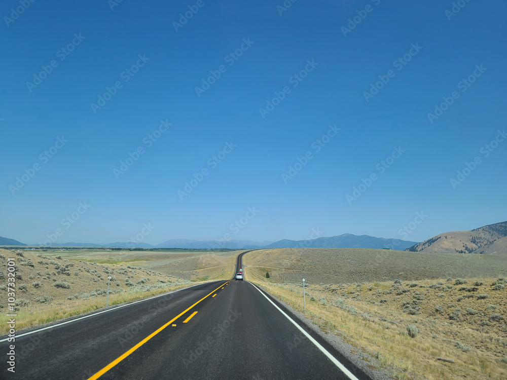 Naklejka premium Scenic Open Road Through Golden Landscape