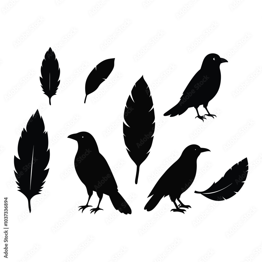 Fototapeta premium This vector set features elegant silhouettes of crows, ravens, birds, and feathers. Perfect for nature, wildlife, and gothic-themed designs, with minimalist and mysterious charm.