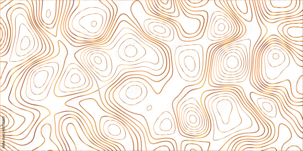 Topographic canyon geometric map relief texture with curved layers and shadow. abstract White background with a beautiful pattern, Topographic contour lines vector map seamless pattern vector.
Topographic canyon geometric map relief texture with curved layers and shadow. abstract White background with a beautiful pattern, Topographic contour lines vector map seamless pattern vector.
