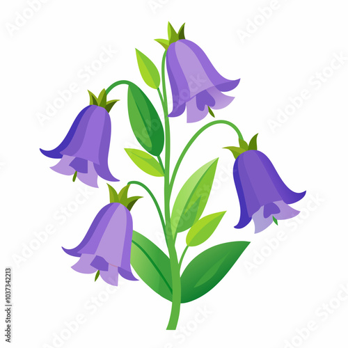 Canterbury bells illustration vector flower on white background