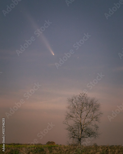 Obraz na płótnie Comet C/2023 A3 (Tsuchinshan-ATLAS) w salonie