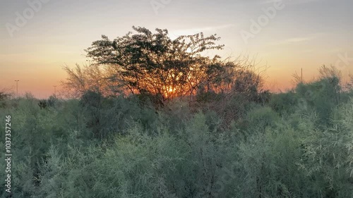 Sunset in the morning