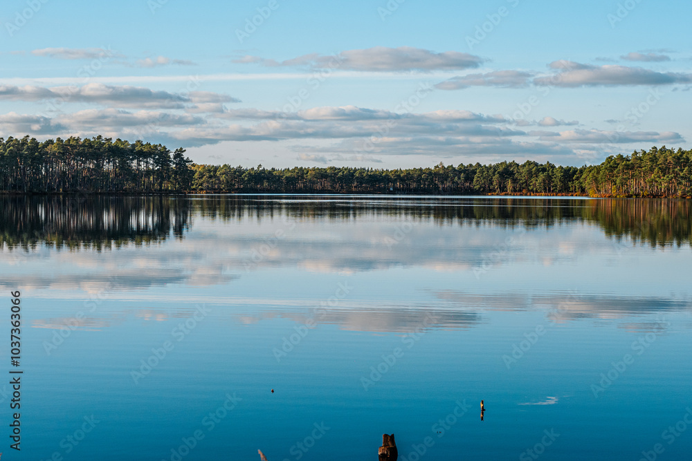 Fototapeta premium A calm lake reflects a clear blue sky, scattered clouds and a horizon of trees in this peaceful landscape. The calm surface of the water creates a mirror-like effect. Wide copy space in sky and water.