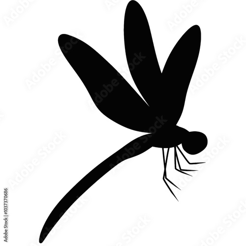 A flock of dragonflies flying. A group of dragonflies. Dragonfly silhouette.