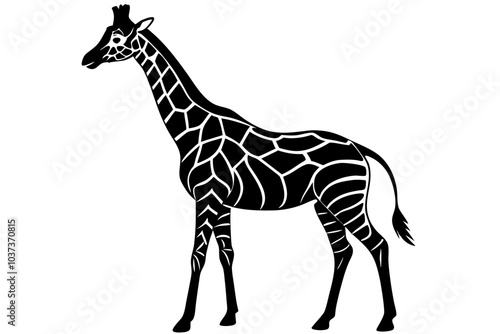 a tall graceful giraffe silhouette vector 