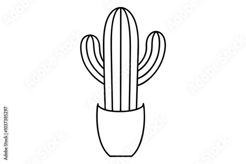 Cactus | isolated vector illustration on white background