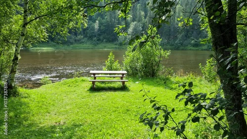 Bench on a green grass with lush trees and river flow silent in background