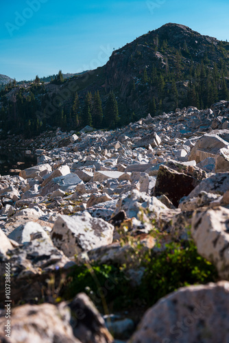 Boulders in Glacier Trail Snowy Range Wyoming Medicine Bow National Park Forest