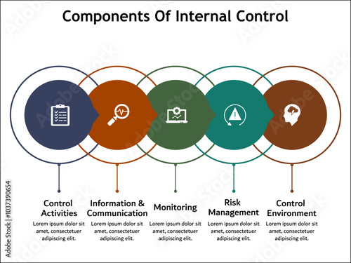 Five components of internal control - Control Activities, information and communication, monitoring, risk management, control environment. Infographic template with icons and description placeholder