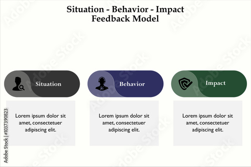 Situation - Behavior - Impact Feedback Model. Infographic template with icons and description placeholder