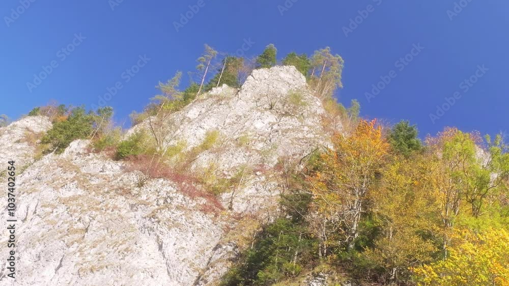 Serene mountain landscape featuring autumn-colored trees as seen from the raft navigated by the local keelman along Dunajec river gorge, Pieniny, Poland Serene mountain landscape featuring autumn-colored trees as seen from the raft navigated by the local keelman along Dunajec river gorge, Pieniny, Poland