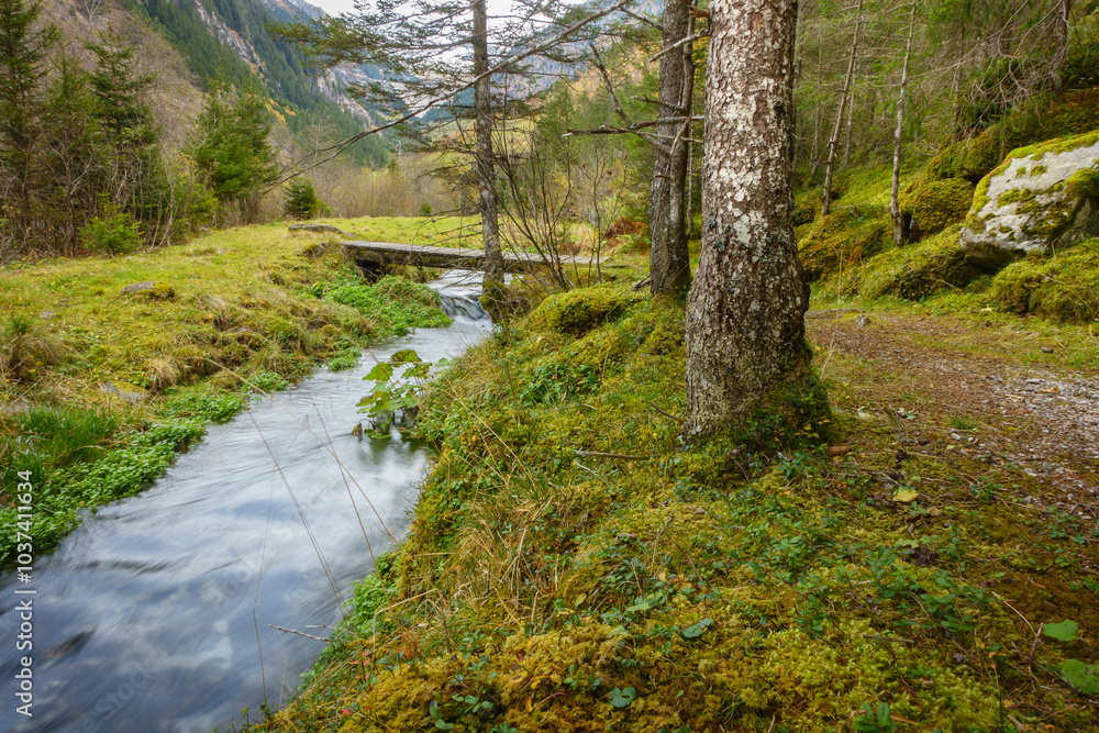 Wanderweg über eine Holzbrücke am herbstlichen Waldrand