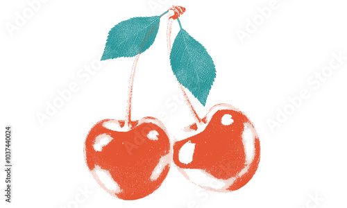 Sweet cherry artwork. Cherry fruit print. Organic food artwork for for t-shirt. Fruit vintage t-shirt design.