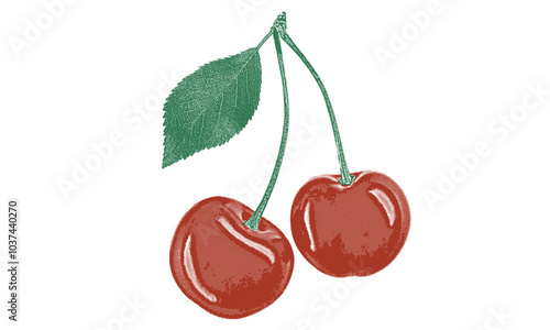 Sweet cherry artwork. Cherry fruit print design.