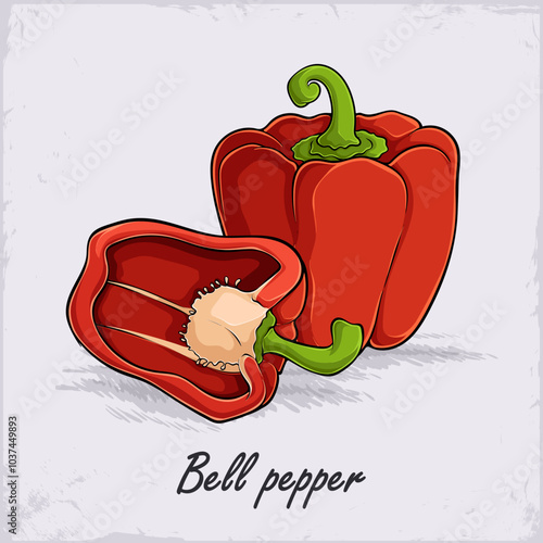 Hand drawn red organic healthy bell pepper vegetable full of vitamins isolated on white background