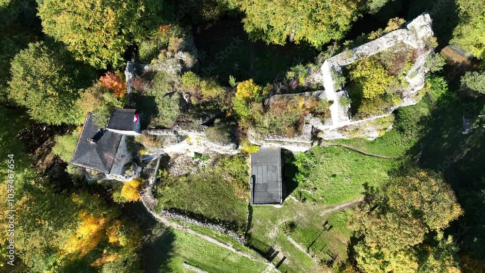 Aerial drone view of Bakowiec Knights' Castle. Eagles' Nests Trail. Autumn panorama of Ruins of Bakowiec Castle in Morsko, Poland. Castle ruins in the background autumn forest. Ruins of castle Morsko.