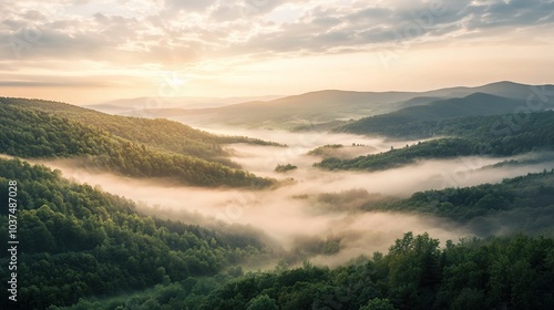 Golden Hour Mountain Mist: A breathtaking vista unfolds as soft, ethereal mist blankets the verdant valleys, bathed in the warm glow of a majestic sunrise. The mountains stand tall.