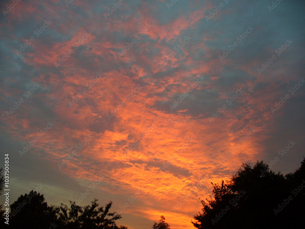 Fototapeta premium Colorful sky and clouds lit in red and pink during sunset over dark trees - natural composition. Topics: beauty of nature, evening, dusk, weather, meteorology, atmosphere, air space, season, sunlight