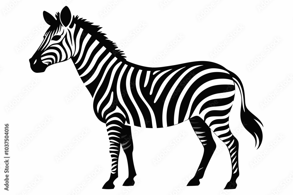 Zebra silhouette vector illustration on white background Zebra silhouette vector illustration on white background